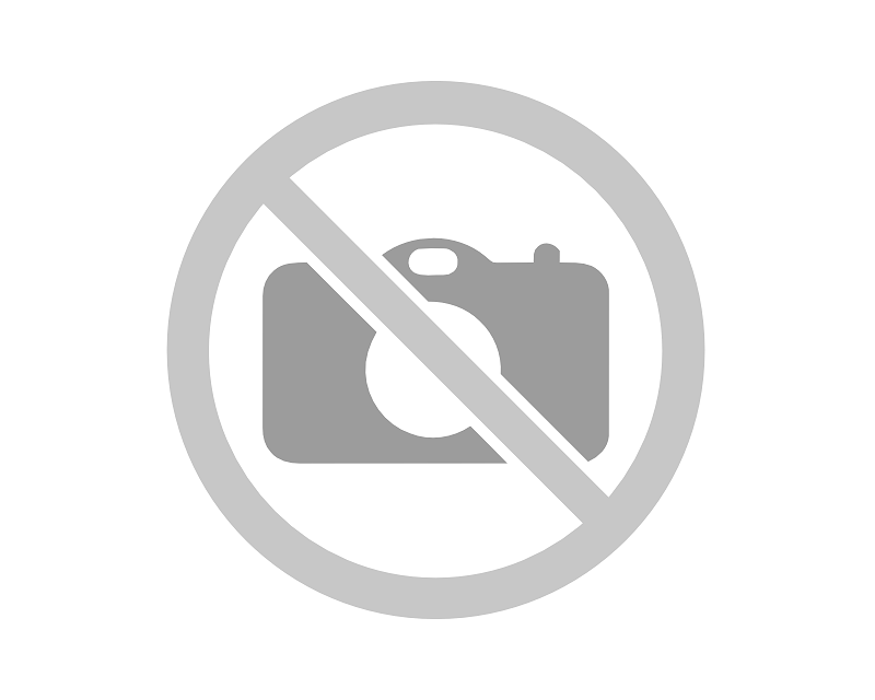 Silbrige Bltter - Blattschmuckpflanzen / Botanischer Spaziergang / Meraner  Stadtanzeiger / die Zeitung fr Meran in Sdtirol / Magazin, Wochenzeitung,  Wochenblatt, Bezirkszeitung
