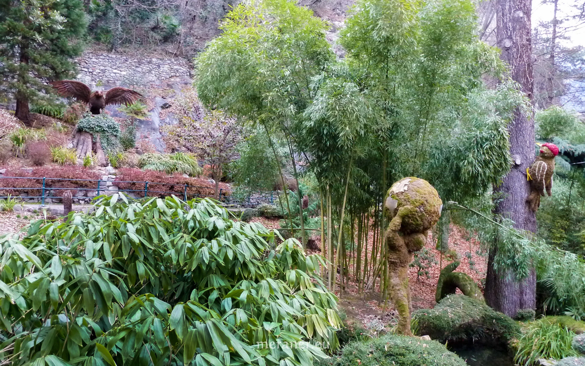 Der Bambus / Botanischer Spaziergang / Meraner Stadtanzeiger / die Zeitung  fr Meran in Sdtirol / Magazin, Wochenzeitung, Wochenblatt, Bezirkszeitung