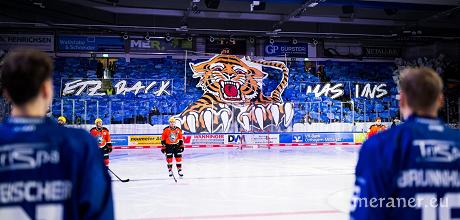 Foto: über 5.000 Fans verfolgten durchschnittlich die Heimspiele der Straubing Tigers. Bildquelle: Straubing Tigers / Facebook